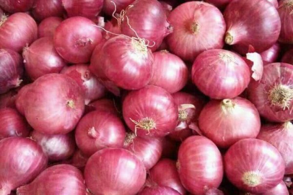 Смотреть сайт кракен onion top