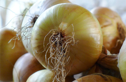 Ссылка на kraken zerkalo onion top