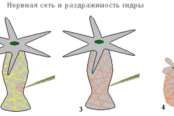 Актуальный адрес кракена